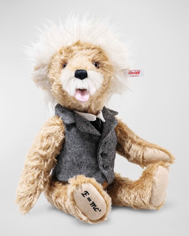 Albert Einstein Teddy Bear